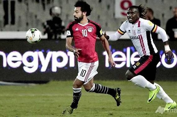 salad-dua-ai-cap-den-gan-world-cup