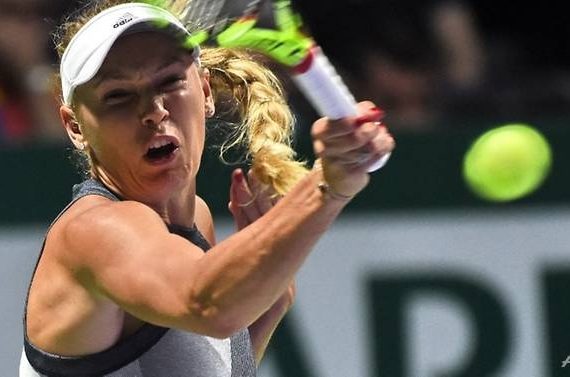 wozniacki-halep-den-ban-ket-singapore